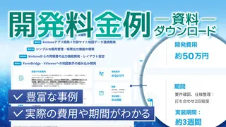 開発料金例
